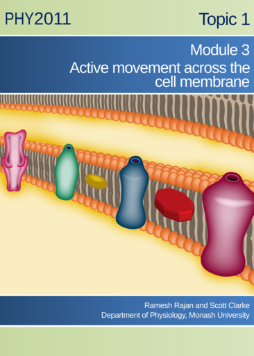 Active movement across the cell membrane