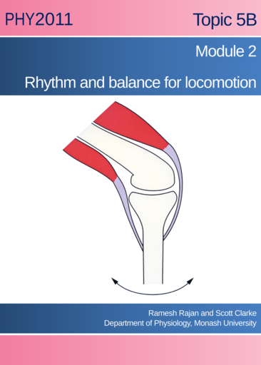 Rhythm and balance for locomotion