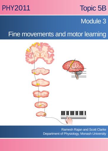 Fine movements and motor learning