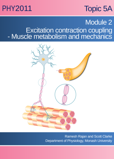 Excitation-Contraction coupling, Muscle metabolism and mechanics