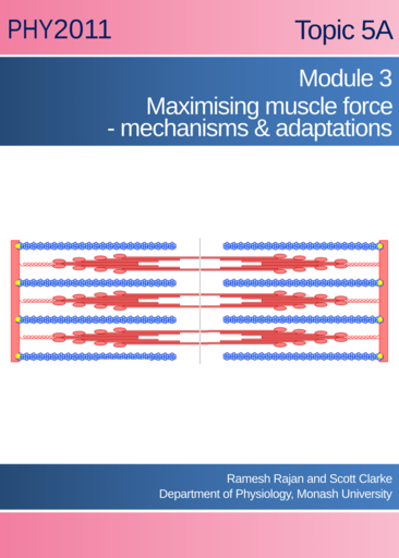 Maximizing muscle force - Intrinsic mechanisms & Exercise-induced Adaptations