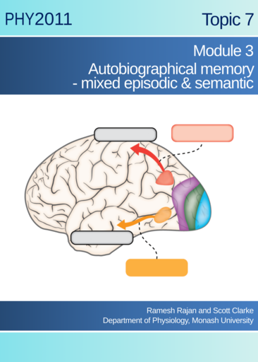 Autobiographical memory - Mixed Episodic & Semantic