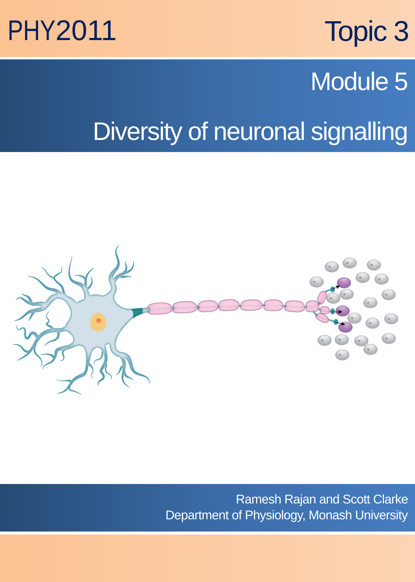 Diversity of neuronal signalling