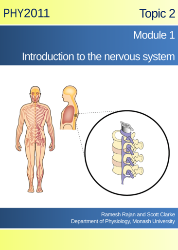 Introduction to the nervous system