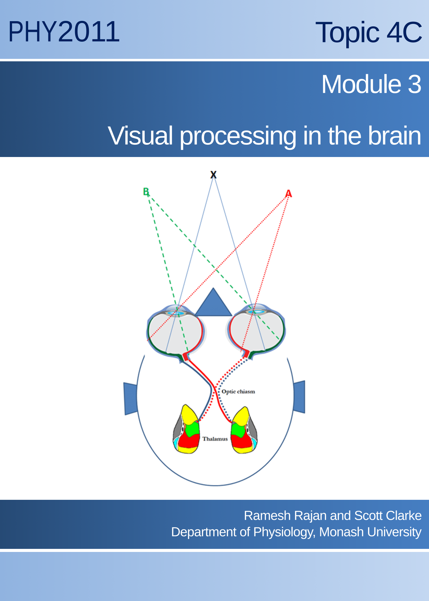 Topic 4C Module 3 Visual processing in the brain