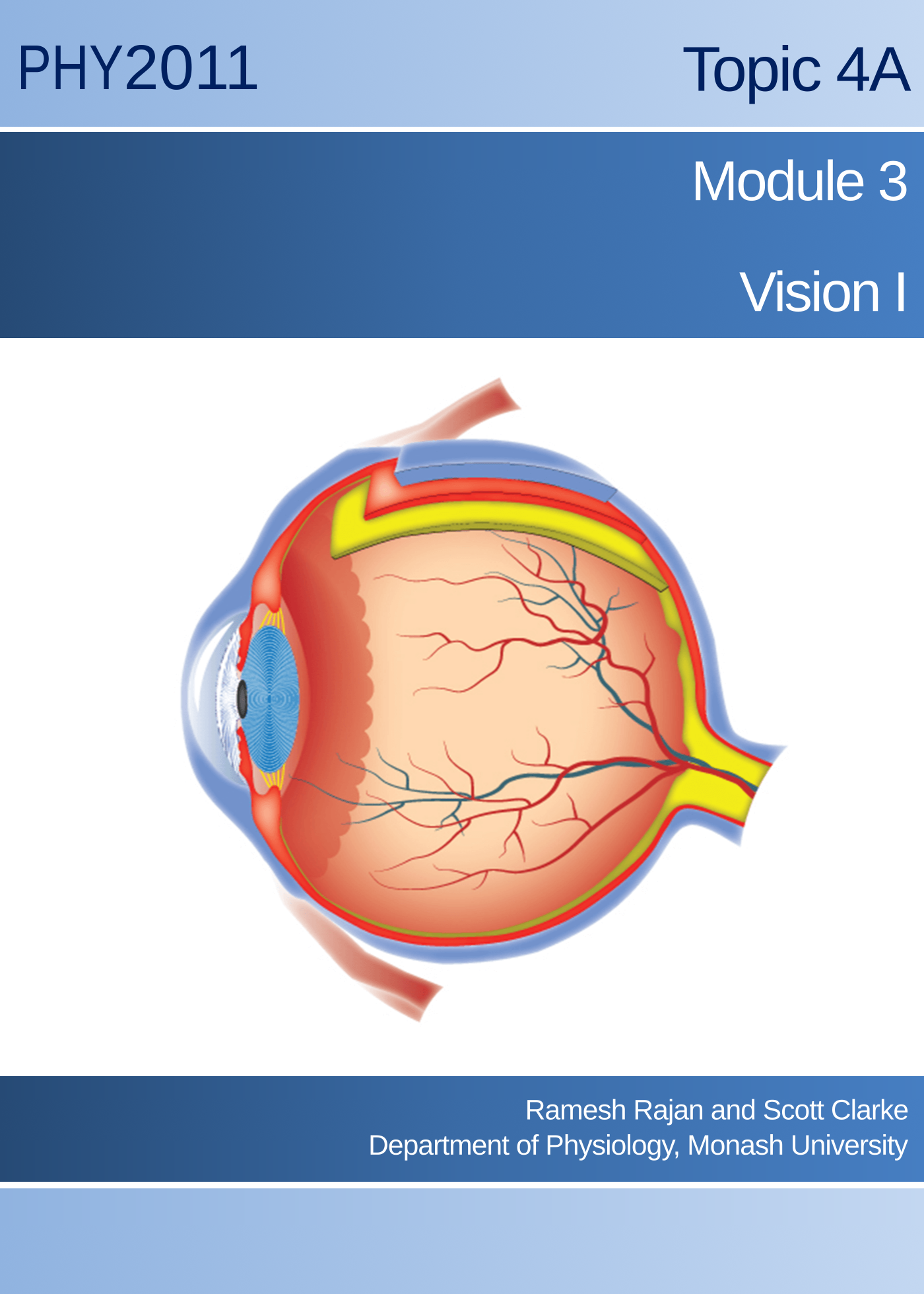 Topic 4A Module 3: Vision I