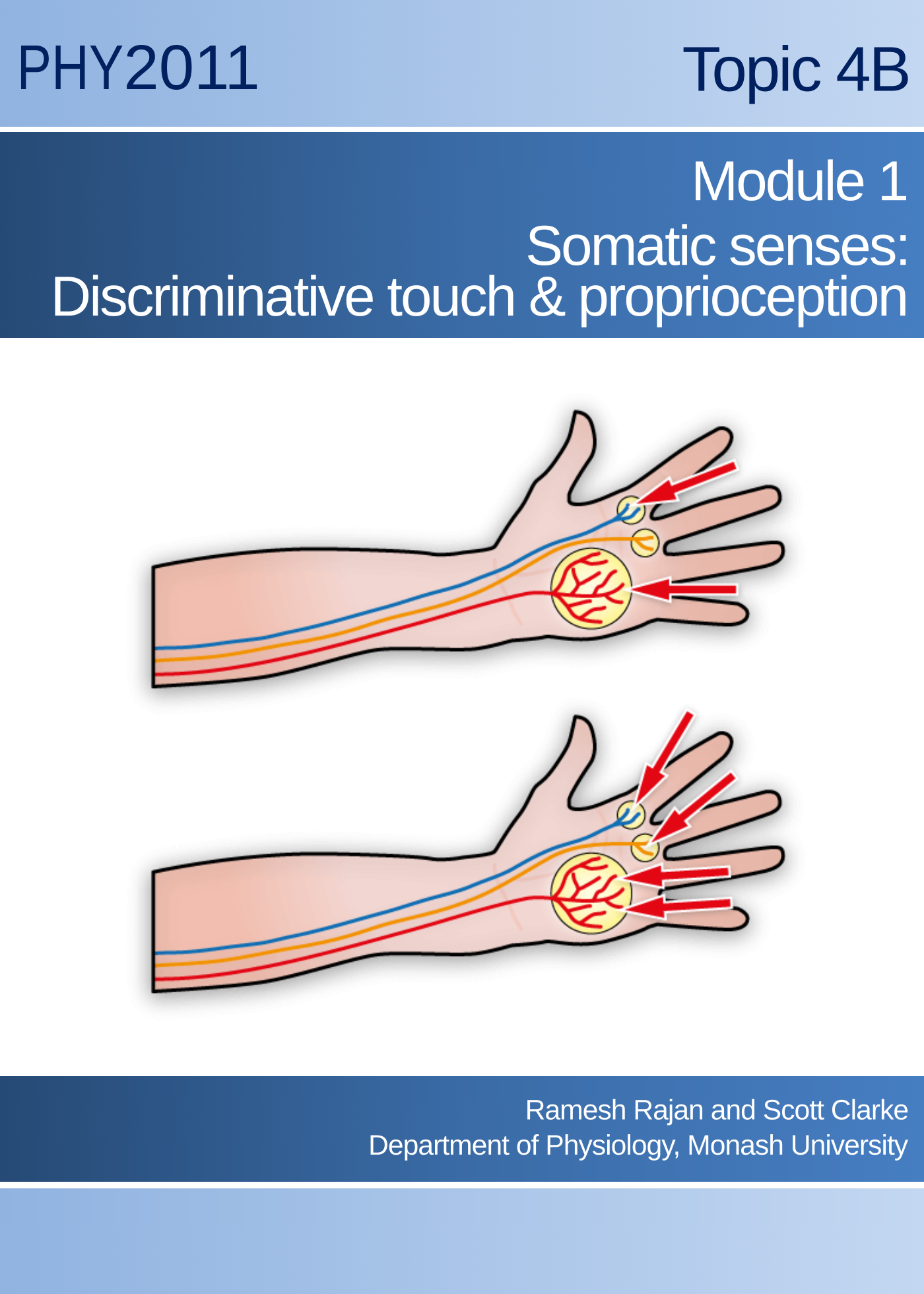 Topic 4B Module 1: Somatic senses: discriminative touch and proprioception