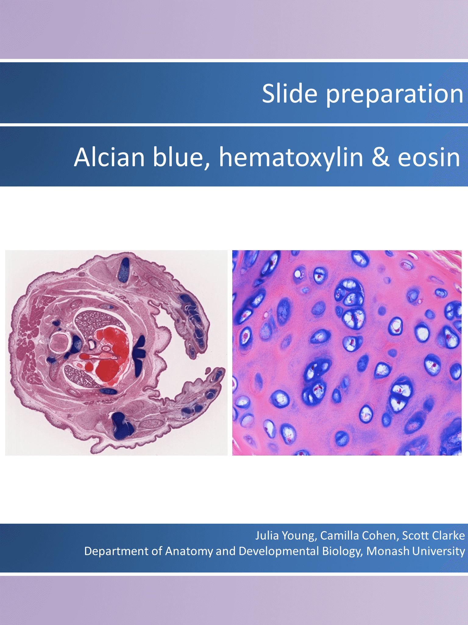 Basic histology with Alcian Blue/H&E Preparations