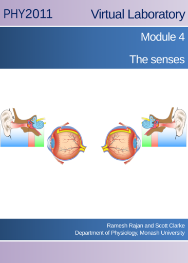 The senses