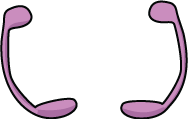 Epididymis