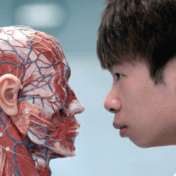 a young person staring at an anatomical human head