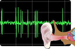 Neuron spike trace with a diagram of the ear